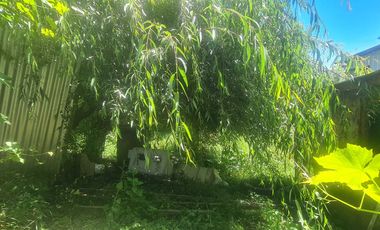 Casa en venta  en PANGUIPULLI
