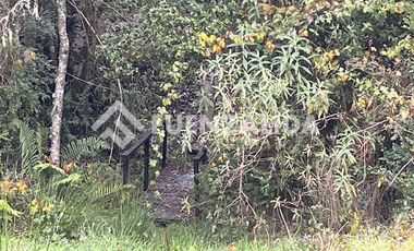 Casa en Arriendo en Los Copihues, Fundo el Maitén Lote 5