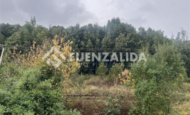 Casa en Arriendo en Nueva Braunau
