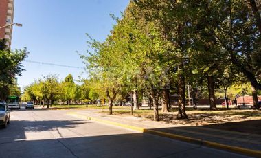 VENTA – OFICINA - AV. ARGENTINA 484 -NEUQUÉN