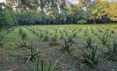Venta de casa en Camino de la Costa,  Los Cardozo