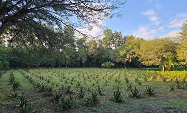Venta de casa en Camino de la Costa,  Los Cardozo