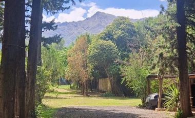 VENTA COMPLEJO DEPTOS Y LOCAL COMERCIAL