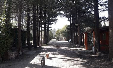 VENTA COMPLEJO DEPTOS Y LOCAL COMERCIAL