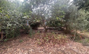 Casa en Venta en Camino los pescadores