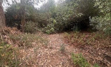 Casa en Venta en Camino los pescadores