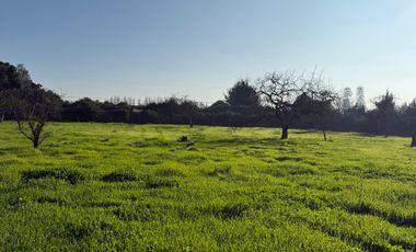 VENTA TERRENO - SITIO 5000MTS Talagante