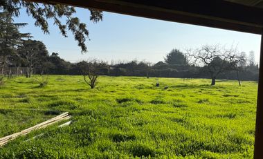 VENTA TERRENO - SITIO 5000MTS Talagante