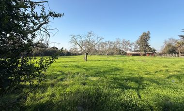 VENTA TERRENO - SITIO 5000MTS Talagante
