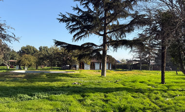 VENTA PARCELA 5000MTS Talagante