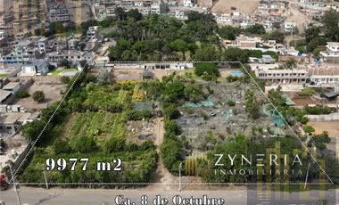 Terreno Estratégico: Venta de 9,977 m2 en Lurín
