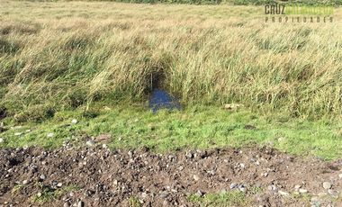 Agrícola en Venta en 26 hectareas frente al mar a solo 7 kms de Cucao.