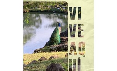 Se vende terrero en Laguna de San Carlos, Proyecto Rancho Santa Fe