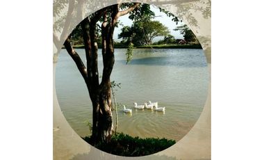 Se vende terrero en Laguna de San Carlos, Proyecto Rancho Santa Fe