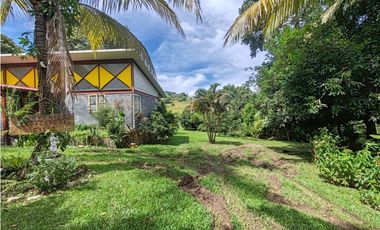 Se vende casa en Sorá con 5 hectáreas, Chame