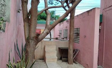 | Amplia casa en renta en zona centro |