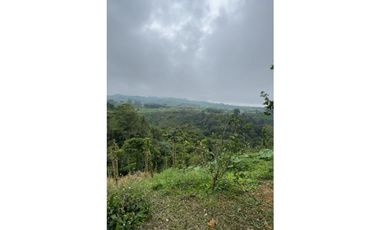 SE VENDE ESPECTACULAR FINCA HOTEL CERCA A FILANDIA