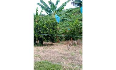 Se vende finca en Quimbaya, Quindío