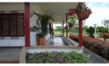 Se vende finca en Quimbaya, Quindío