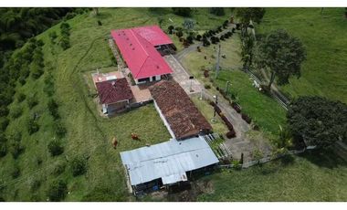 Se vende finca en Quimbaya, Quindío