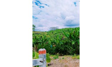 Se vende finca en Quimbaya, Quindío
