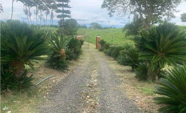 Se vende finca en Quimbaya, Quindío