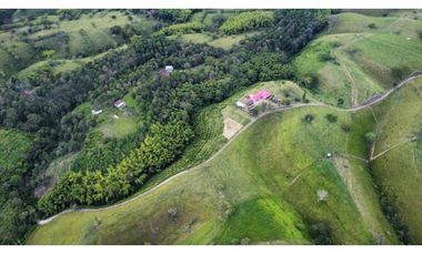 Se vende finca en Quimbaya, Quindío