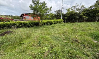VENTA LOTE VENECIA, - SUROESTE ANTIOQUEÑO