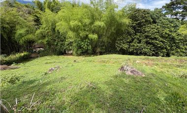 VENTA LOTE VENECIA, - SUROESTE ANTIOQUEÑO