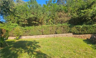 Hermoso terreno en zona centrica de mazamitla con vista al bosque