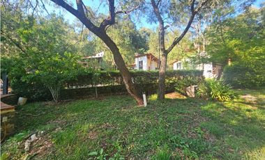 Hermoso terreno en zona centrica de mazamitla con vista al bosque