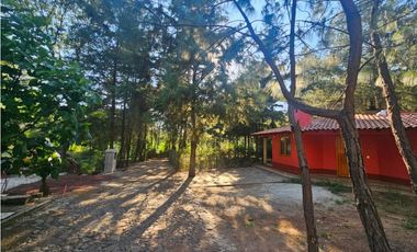 Hermoso terreno en zona centrica de mazamitla con vista al bosque