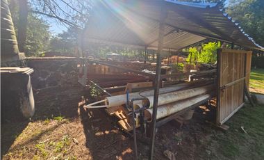 Hermoso terreno en zona centrica de mazamitla con vista al bosque