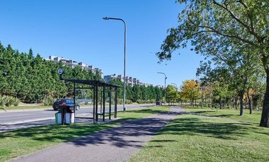 Lote | Terreno en  venta en  barrio Casuarinas - Nordelta