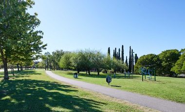Lote | Terreno en  venta en  barrio Casuarinas - Nordelta