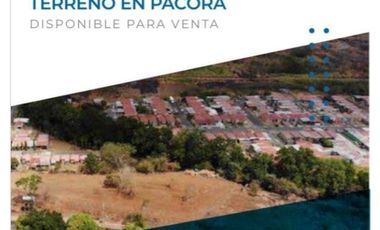 Sea Confiable vende terreno en Pacora