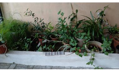 VENDO O ALQUILO CASA EN CONDADO DEL REY