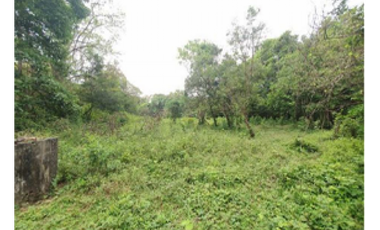 Terreno en Venta – Dolega, Chiriquí