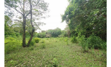 Terreno en Venta – Dolega, Chiriquí