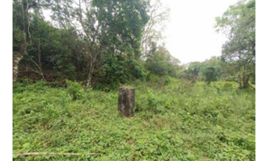 Terreno en Venta – Dolega, Chiriquí