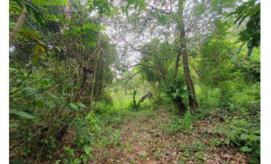 Terreno en Venta – Dolega, Chiriquí