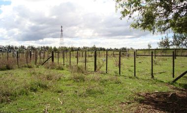 Campo Mar Chiquita 38 Hectareas