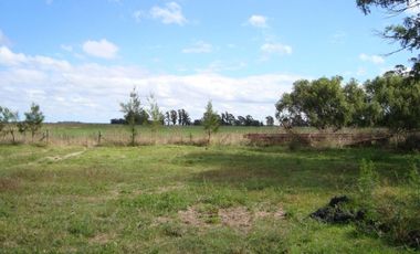Campo Mar Chiquita 38 Hectareas