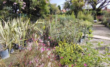 VENTA  lote 2400M2 MARTINEZ