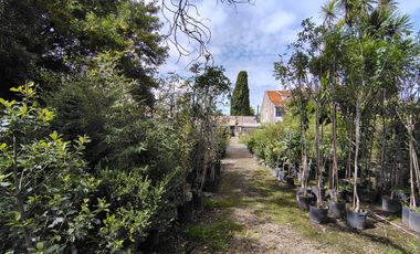 VENTA  lote 2400M2 MARTINEZ