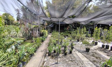 VENTA  lote 2400M2 MARTINEZ