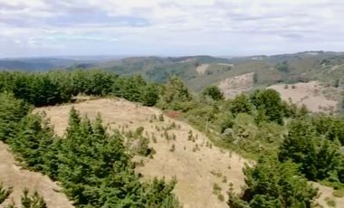 TROVOLHUE