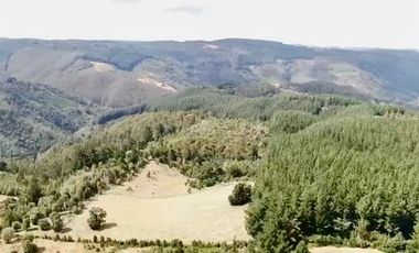 TROVOLHUE