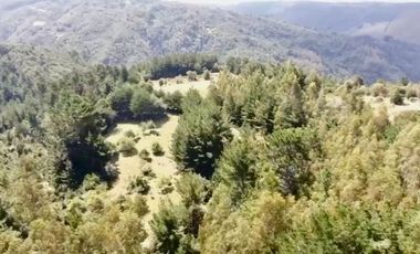 TROVOLHUE