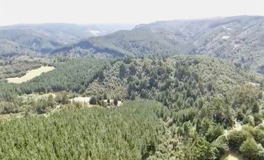 TROVOLHUE
